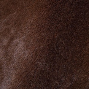 Abrigo Acolchado de Piel Sintética con Efecto de Piel de Oveja, Estilo Vintage, Manga Larga, para Mujer, con Cuello de Piel, Invierno - Product Image 4