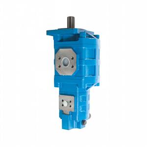 803013093 J2100 0010 Pompe de direction double tandem - Product Image 5