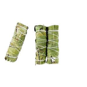 Paquet de 4 pouces de bâton de tache d'eucalyptus pour la méditation de cérémonie paquet de tache de sauge indien naturel de 4 pouces - Product Image 1
