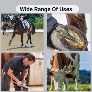 Kit d'outils de tonte des sabots pour chevaux et bovins, robuste, manuel, en acier inoxydable, pour la pratique vétérinaire - Product Image 6