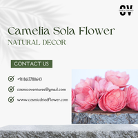 Fleurs de Camélia Sola Biologiques Écologiques Faits Main de Haute Qualité pour Décoration Intérieure/Extérieure d'Halloween – Vente en Gros