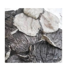 Vente en gros de viande de bœuf Omasum, tendre et délicieuse, de qualité supérieure, de qualité export, pour l'expédition internationale - Product Image 3