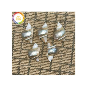 Anillos de Servilleta Hechos a Mano con Conchas Marinas, Decoración de Mesa con Conchas Naturales, Anillos de Servilleta de Concha de Cristal, Elegantes para Eventos de Boda - Product Image 1
