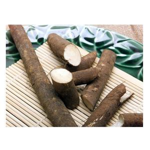 High Quality Cheap Wholesale Price <b>Fresh</b> Vegetables <b>Burdock</b> For sale - Product Image 6