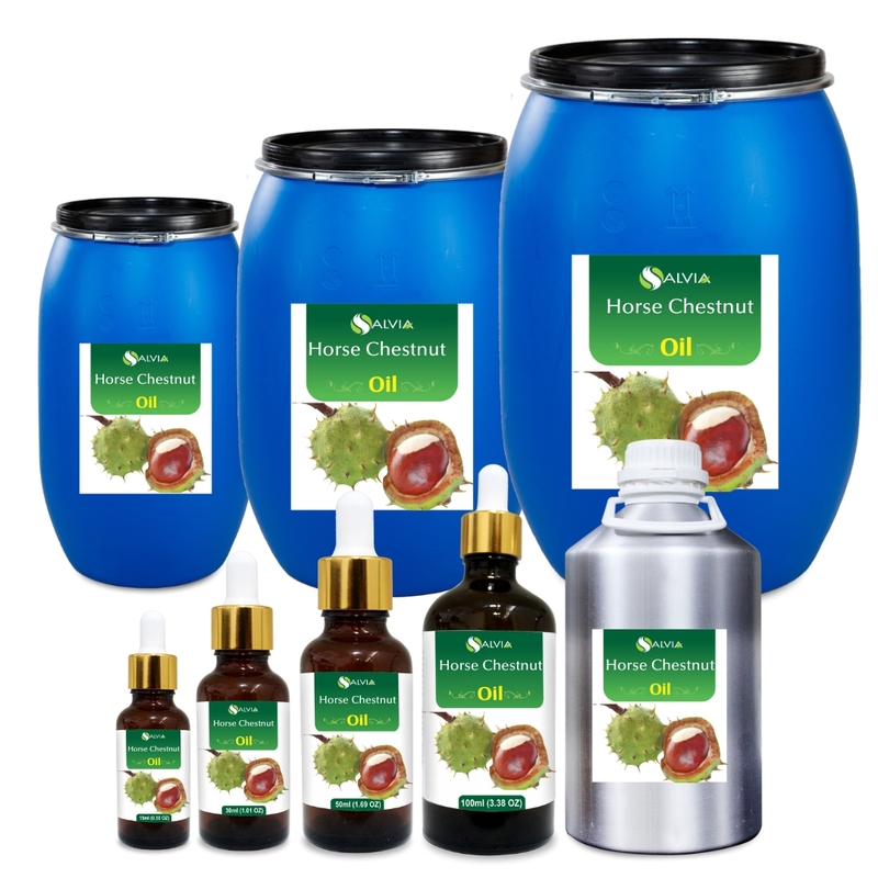Horse Chestnut Oil Aesculus Hippocastanum Premium