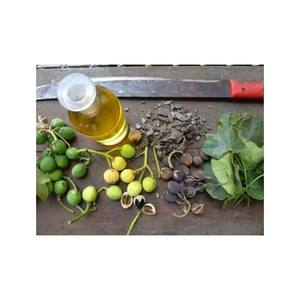 Aceite de jatropha refinado de alta calidad a granel para la producción de biodiésel y uso industrial exportador confiable con suministro global - Product Image 6