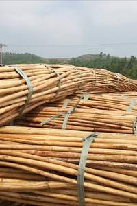 MATÉRIAU DE POLE DE ROTIN en VRAC pour L'EXPORTATION 18mm à 50mm POLIS ROTIN MANAU CANE POLES - CARYLN - Product Image 3