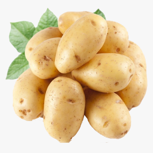 100% nuevo cultivo orgánico de patatas de piel amarilla frescas de China precio bajo patatas de piel amarilla frescas - Product Image 1