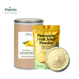 Высококачественный натуральный пищевой органический порошок ананасового сока - Product Image 3