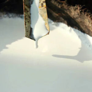 Latex du Vietnam de haute pureté-Matériau fiable pour la production de gants médicaux et industriels - Product Image 1