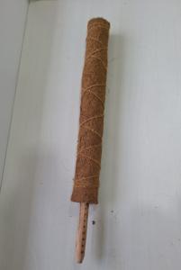 Pôle d'escalade en coco du Vietnam pour les plantes d'intérieur Arrangement de la jungle quantité minimale de commande bas - Product Image 5