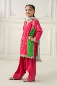 Chica paquistaní bordada shalwar kameez con tejido elegante Dupatta y detalle de Zari para Eid y celebraciones culturales - Product Image 3