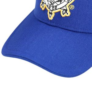 Sigma Gamma Rho SGRho Crest Cap Bleu Royal 20 Laine 80 Acrylique Bouclier Grec Brodé Avant Dos Réglable Sororité Chapeau - Product Image 5