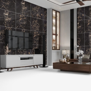 Encuentre azulejos de porcelana de 60x60cm de clase mundial de los principales productores indios con azulejos de pared con acabado superficial de primera calidad para pared de oficina - Product Image 1