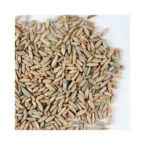 Granos orgánicos de centeno Grano de trigo integral No OGM, Kosher, Cebada cruda - Product Image 6