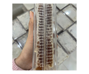 Producto caliente Vietnam Honeycomb Multiflower Honeycomb Calidad Premium Mejor oferta de exportación Venta a granel Precio competitivo Pure Sweet Raw - Product Image 1