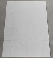 Marbre Cem, Pierre Calcaire Beige Fossile, Pierre de Coquillage Polie 20x20cm, Petit Échantillon, Moderne, Durable, Revêtement de Sol pour Villa Intérieur/Extérieur
