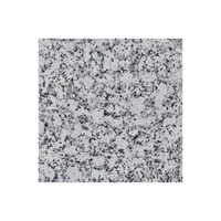Granito blanco de alta calidad a bajo precio Granito blanco de diseño natural de proveedor mayorista