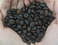 Rekabetçi fiyat aromatik kavrulmuş Arabica Robusta kahve çekirdekleri toptan vietnam'dan torbalı siyah kahve-ANNA DO VILACONIC