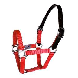 Cabestro de Nailon PP Premium para Caballo |   Accesorios Duraderos para Sillas de Montar |   Equipo Ecuestre de Alta Calidad a Precio Accesible - Product Image 1