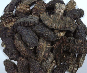 Fruta Noni seca Premium de Vietnam para exportación de alta calidad Morinda Citrifolia rodajas de Noni secas a granel y polvo a bajo precio - Product Image 4