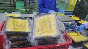 MAÏS SUCRÉ CONGELÉ IQF: JAUNE ROI, PRIX BON MARCHÉ, VENTE EN GROS DE L'USINE VIETNAM. - Product Image 3