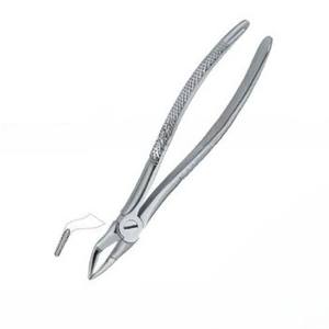 Produits de logo personnalisé de haute qualité Forceps d'extraction de dents dentaires Fig.51 S Instruments dentaires en acier inoxydable - Product Image 5