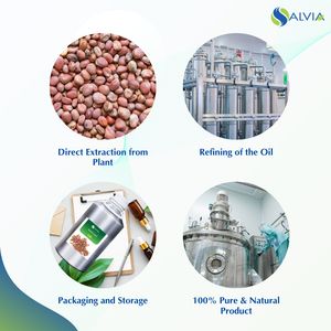 Aceite Esencial de Semilla de Rábano 100% Puro y Natural, Marca Salvia, Venta al Por Mayor, Precio Bajo, Empaque Personalizado - Product Image 4