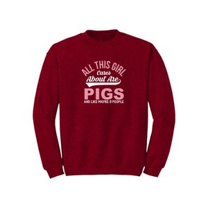 Sweat-shirt d'hiver en mélange de coton Style décontracté solide 12 options de couleur 260-280 Placement de conception personnalisable GSM lourd - Product Image 1