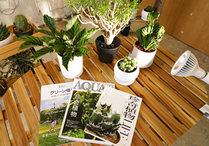 Usine à spectre complet NEO TSUKUYOMI 20W de la meilleure qualité à bon coût élèvent des lumières LED professionnelles - Product Image 6