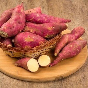 Proveedor de Batata Congelada de Vietnam, Raíces Enteras y Batida, para Mercados Internacionales - Product Image 1