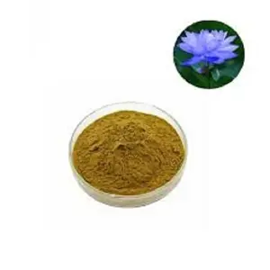 Natuurlijke Blauwe Lotus Bloem Extract Poeder Groothandel Aanbod Van Beste Merk Van Kruidenpoeder