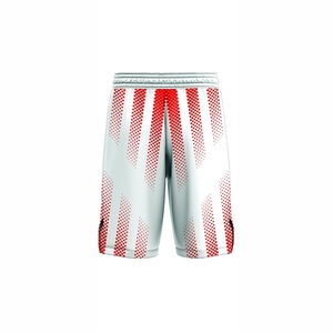 Short MMA imprimé sublimé pour homme Short UFC Short de grappling Arts martiaux Wears Short Boxer Short MMA Short Fight - Product Image 3