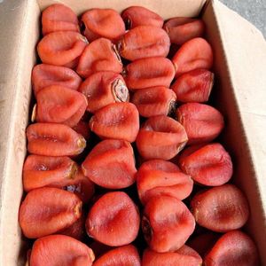 Dattes séchées, fruits séchés naturels, matériau idéal pour les collations et la pâtisserie, qualité supérieure produite au Vietnam - Product Image 3