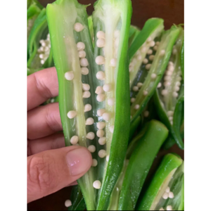 Vietnam de alta calidad IQF Okra congelada a granel al mejor precio de exportación - Product Image 1