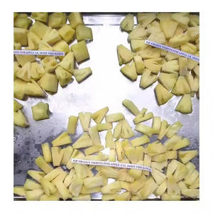 ชิ้นสับปะรด iqf ส่งออกผลไม้ออร์แกนิกชิ้นสับปะรดแช่แข็งจากเวียดนาม - Product Image 3