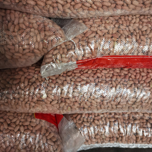 Đậu phộng tươi sống hữu cơ chất lượng cao, nguyên vỏ, số lượng lớn - Product Image 1