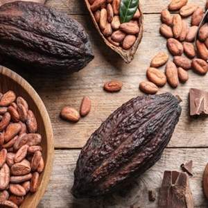 CACAO NATURAL EN POLVO/GRADO OSCURO PREMIUM/APTO PARA LA INDUSTRIA DE HORNILLADO Y BEBIDAS - Product Image 1