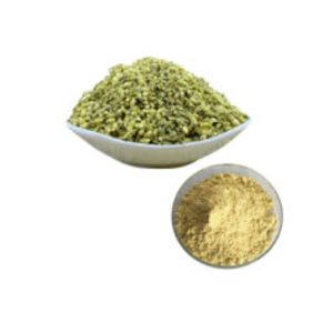 FLORES DE SOPHORA SECAS EN POLVO, EXTRACTO NATURAL DE SOPHORA JAPONICA, RUTINA para RUTINA CAS 153-18-4 EN STOCK en VIETNAM - Product Image 3