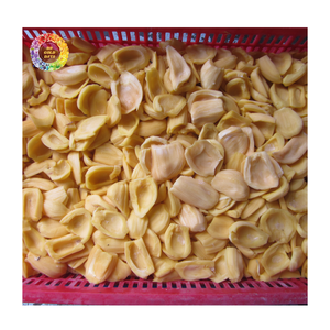 Bulbos de Jaca Congelados, Segmentos de Jaca Congelados para Postre, Pulpa Amarilla Entera de Jaca Congelada IQF, Dulce Natural - Product Image 6