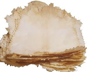 Parchemin de chèvre VELLUM, semi-blanc - Product Image 2