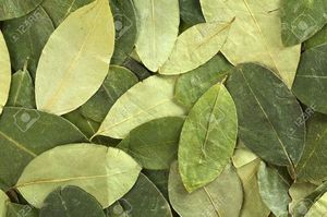 Cao cấp khô cà ri lá giá nhà máy bán buôn cung cấp số lượng lớn Giao hàng nhanh và giao dịch tốt nhất từ Việt Nam - Product Image 3