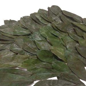 Hemat besar untuk Soursop organik