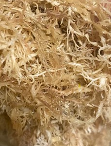 Musgo Marino Seco Natural Vietnamita a Granel (Eucheuma Cottonii) Musgo Marino Premium para Aplicaciones Alimentarias - Product Image 4