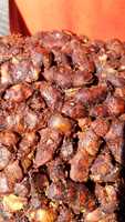 Tamarind (ID;7320075)