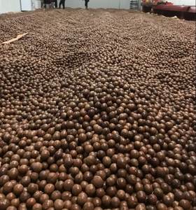 NUEZ DE MACADAMIA CRUDA DE CALIDAD SUPERIOR DE VIETNAM AL MEJOR PRECIO DEL MERCADO - Product Image 2