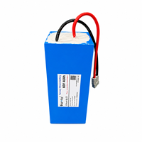 Batterie personnalisée 60V 40Ah 2400Wh au lithium ternaire pour moto électrique, tricycle, tricycle cargo, grand scooter électrique