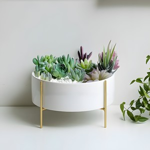 La mejor maceta de metal de venta con soporte dorado a un precio razonable para la decoración del restaurante del jardín del hogar - Product Image 2