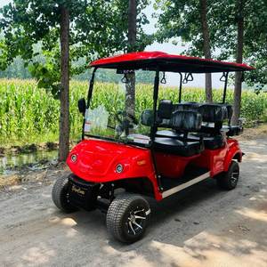 Carrito de golf eléctrico de 6 plazas - Product Image 1