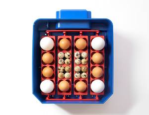 Incubateur automatique Lumia 16 Expert pour 16 œufs, nouvelle arrivée, incubateurs et éclosoirs à œufs de première main, fabriqué en Italie - Product Image 3